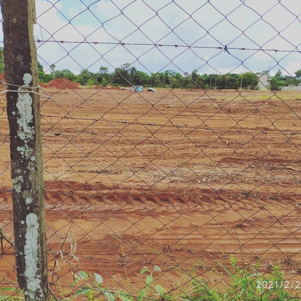 Denúncia de supostos maus-tratos leva polícia a flagrar chácara onde donos mandaram destruir todas as árvores