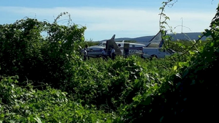 Avião com doses de vacina contra covid bate em jumentos ao pousar na Bahia