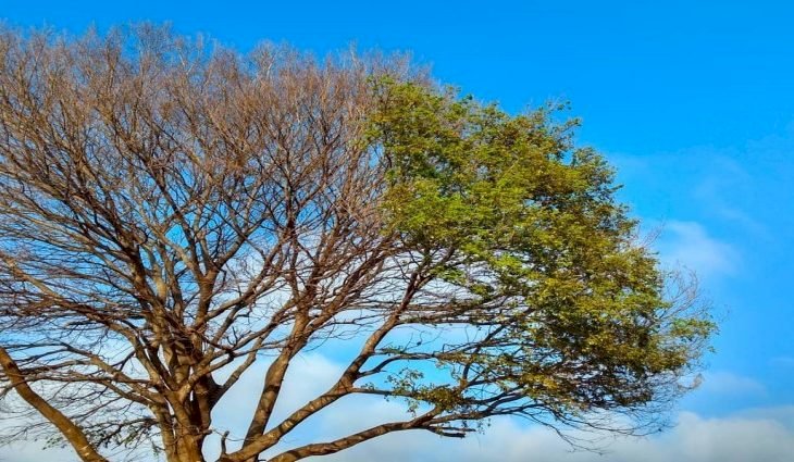 Troca de estação deixará tempo instável em Mato Grosso do Sul