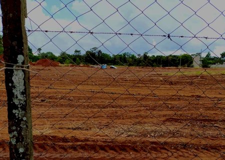 Denúncia de supostos maus-tratos leva polícia a flagrar chácara onde donos mandaram destruir todas as árvores