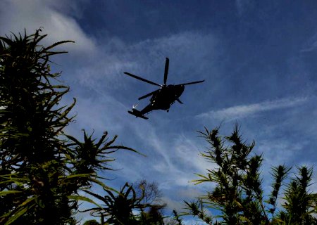 Pela 2ª vez em um mês, Paraguai e Brasil unem forças contra roças de maconha