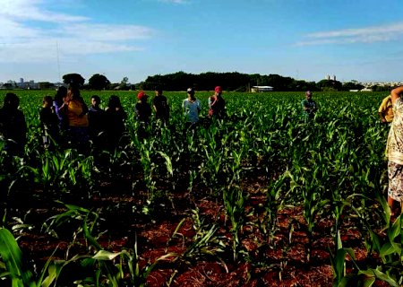 Corpo com sinais de espancamento é encontrado em meio a milharal