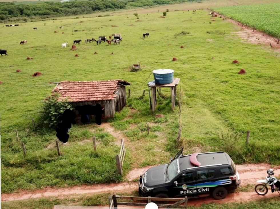 Após furto e venda de gado, gerente de fazenda é indiciado