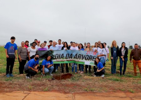 Governo Municipal realiza o plantio de mudas de Ipê, em parceria com alunos do Centro da Juventude.