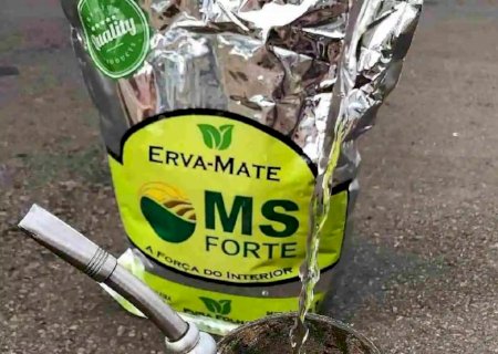 Na terra do tereré, erva-mate MS FORTE vira alvo de disputa